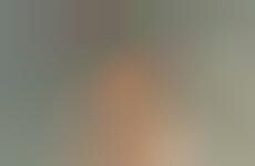 Prismatically Interrupted Portraits