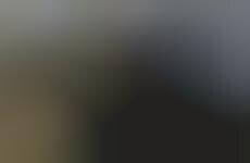 Panda Voyeurism Videos  - The Ueno Zoo Panda Clip Features Two Cuddly Pandas Getting it On