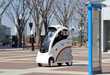 Autonomous Sidewalk Vehicles