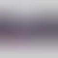 Crowdsourced Concert Review Apps - ShowScoop Brings Crowdsourced Concert Reviews to Your Mobile