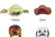 15 ThinkGeek Star Wars Items 