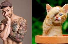 From Hilarious Cat Memes to Musically Shaped Cheese Boards