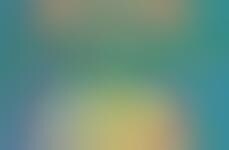 Panoramic Roadtrip Infographics