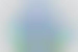 Qi Wei Fong Breaks Down Blooms and Captures Simplistic Beauty