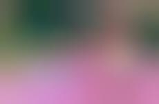 Mini Pop Star Music Videos - Sophia Grace