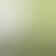 Measuring the  Greeness  of Lawns - The Grass Scanner 1