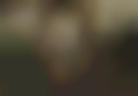 bin laden images bin laden smoking. Chicks amp; Bin Laden Caught