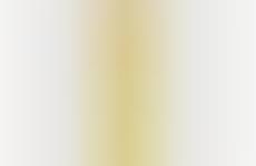 10 Gold Leaf Innovations + Linden Leaves Gold Mist 