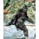Bigfoot Photos and Videos Inspiring Comedy
