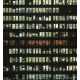 Voyeuristic Photography 9 8