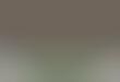 Keynotes.org