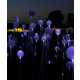 Illuminated Landscapes 10 9