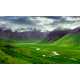 16 Icelandic Innovations 4 6