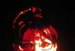 Political Pumpkins