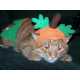 10 Jack o' Lantern Costumes 10