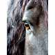 31 Equestrian Innovations in Honor of the Breeders Cup 4 10