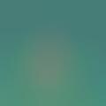 Canine Yogi Calendars - 'Yoga Dogs' by Dan Borris