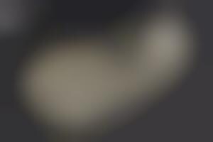 Pollution Absorbing Bikinis D Printed Bikini