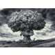 22 Bizarre Bombs and Explosive Innovations 3 6