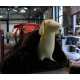 High Fashion Dog Mannequins 7 6