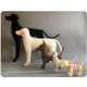 High Fashion Dog Mannequins 8 7