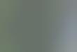 iPhone Games for Drug Dealers