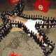 21 Drunktastic Innovations 9