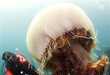 Top 20 Discovery, Biology and Science Trends in 2008