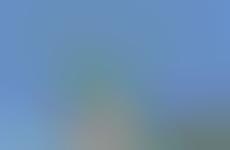 Spire Lookout Cottages