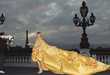 Over 50 Unforgettable Gowns