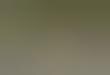 Keynotes.org