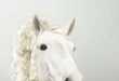 22 Horse-Inspired Innovations