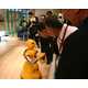 Human-Like Robots Compensate for Increasing Elderly Population 6