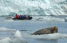 Polar Vacations