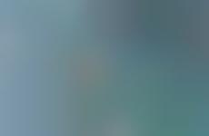 Beach Cleanup-Themed Donuts - Astro Doughnuts & Fried Chicken Has Created a Heal the Bay Donut