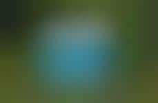 Affordable Eco-Friendly Coolers - Fenik's Yuma 60L Cooler is Ideal for Off-Grid Living