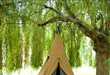 15 Terrific Tents