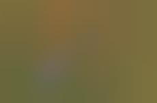 Mediterranean-Inspired Ethical Sneaker Capsules - LOFS Manufactures Comfortable and Versatile Shoes