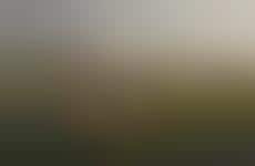 Collaboration-Focused Bank Layout Designs - UNStudio Aims to Break the Traditional Bank Environment