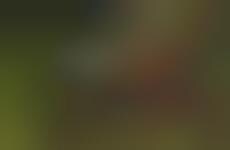 Handmade Buffalo Leather Bags - Jillanie is a Stunningly Elegant and Fashion-Forward Bag for Men