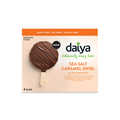 Plant-Based Frozen Dessert Bars - The Daiya Dessert Bars Come in Four Delicious, Dairy-Free Flavors (TrendHunter.com)