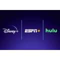 Bundled Streaming Services - The Disney+ Streaming Service Will Offer a Bundle with Hulu and ESPN+ (TrendHunter.com)
