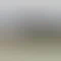 Skin Thumbnail