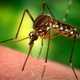 11 Innovations in Bug Relief 4