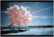 Top 50 Eco Trends in H1 2009