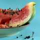Kiwi Lawn Mowers - Akiko Ida & Javelle Share a Love For Fruits and Vegetables (GALLERY) 4