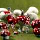 Kiwi Lawn Mowers - Akiko Ida & Javelle Share a Love For Fruits and Vegetables (GALLERY) 7