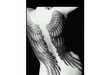 25 Wearable Wings