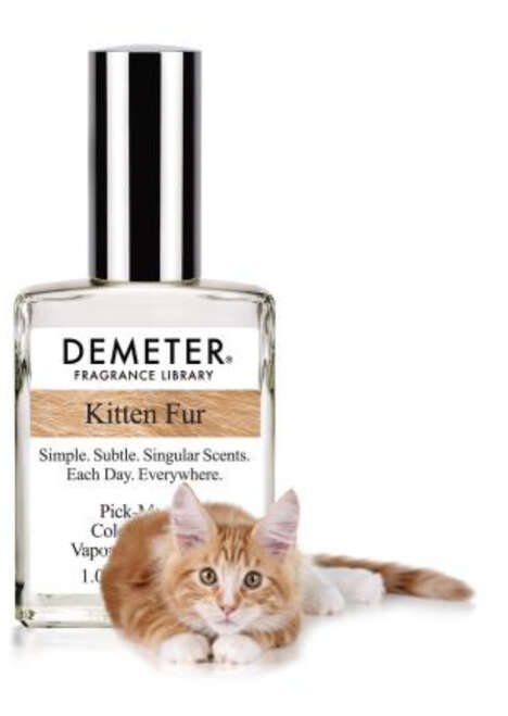 477669_1_468 Kitten Fur Fragrances : Kitten fur fragrance