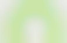 Eco Social Search